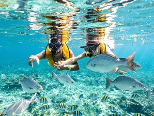 snorkel