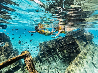 snorkel