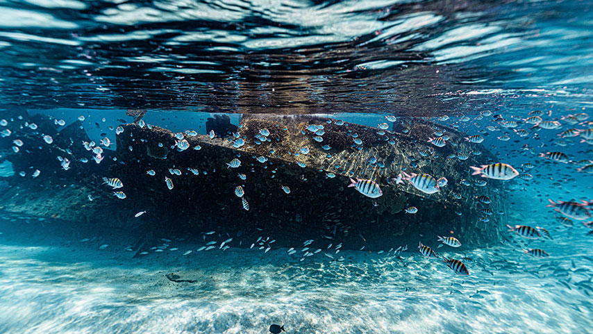 snorkel top snorkel cancun