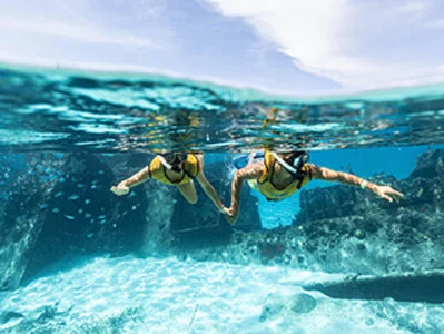 Snorkel