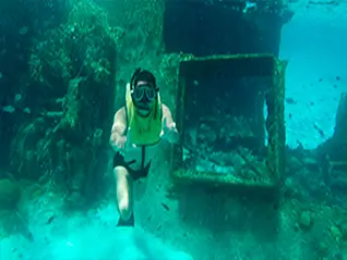 The Shipwreck