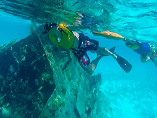 The Shipwreck
